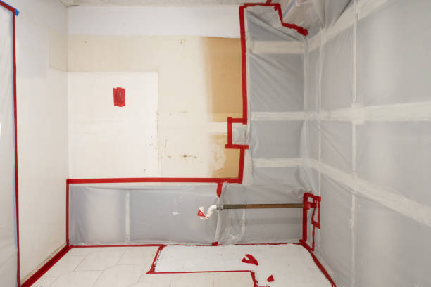 Best Crawl Space Mold Remediation  in Longboat Key, FL