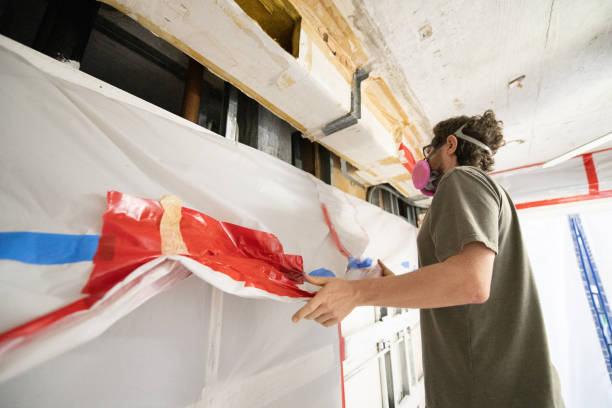 Professional Mold Removal in Longboat Key, FL