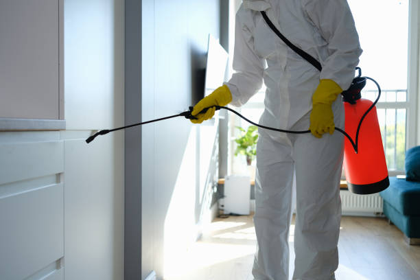 Best Mold Removal for HVAC Installations  in Longboat Key, FL