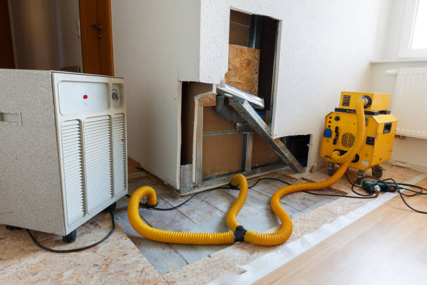 Best Residential Mold Inspection & Testing  in Longboat Key, FL