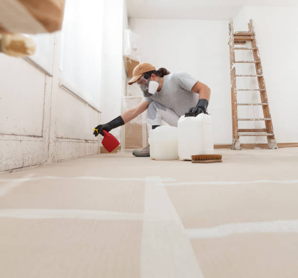 Best Post-Remediation Verification Testing  in Longboat Key, FL